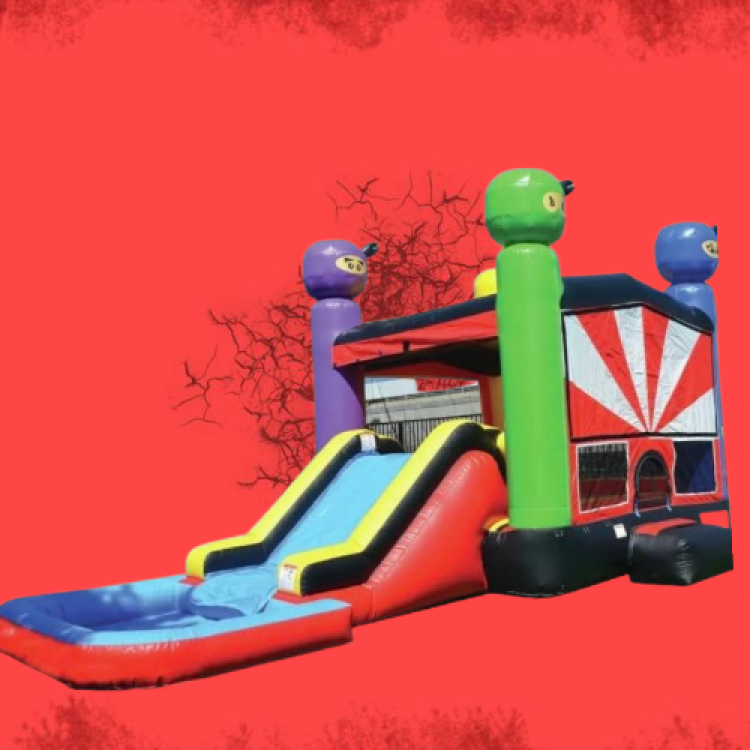 Ninja Water Slide Bounce House