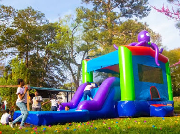 13x22 Deep Sea 3n1 bounce house with slide and pool rental