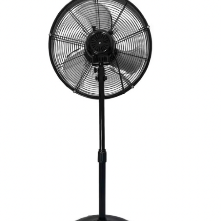 20in Fan