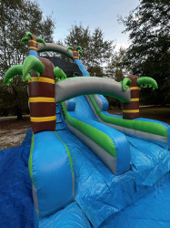 43629cf2aaec073c844e877ef89155ea 1761263242 20ft Palm Beach Waterslide