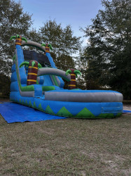 20ft Palm Beach Waterslide