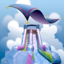 85FE0203 15B5 4F9D 8E3D D674E54F04E5 1674596154 Aladdin's Magic Slide rental