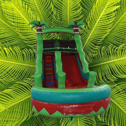 E6CD86C0 F6C9 4EE1 9081 88783E650BE8 1674596091 1 16ft Tropical Waterslide