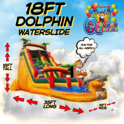 18x35 Dolphin Slide